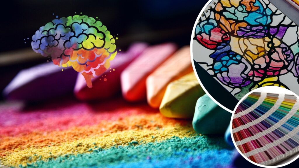 couleur psychologie cerveau