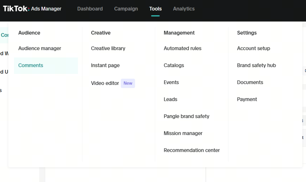 tiktok ads manager comment